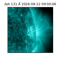 saia - 2026-08-22T09:00:06.620000