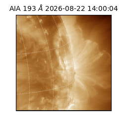 saia - 2026-08-22T14:00:04.842000