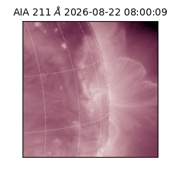 saia - 2026-08-22T08:00:09.624000