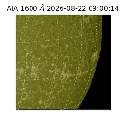 saia - 2026-08-22T09:00:14.124000