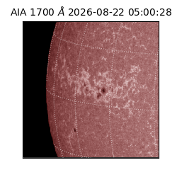 saia - 2026-08-22T05:00:28.716000