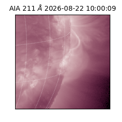 saia - 2026-08-22T10:00:09.628000