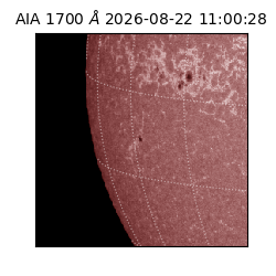 saia - 2026-08-22T11:00:28.717000