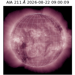 saia - 2026-08-22T09:00:09.624000