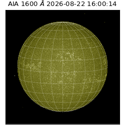 saia - 2026-08-22T16:00:14.124000