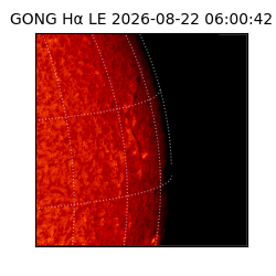 gong - 2026-08-22T06:00:42