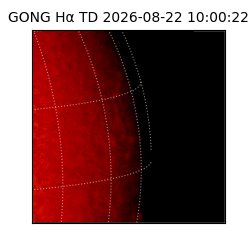 gong - 2026-08-22T10:00:22