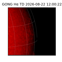 gong - 2026-08-22T12:00:22