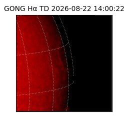 gong - 2026-08-22T14:00:22
