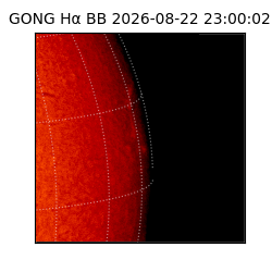 gong - 2026-08-22T23:00:02