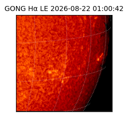 gong - 2026-08-22T01:00:42