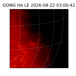 gong - 2026-08-22T03:00:42