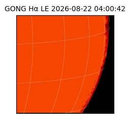 gong - 2026-08-22T04:00:42