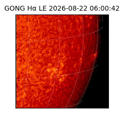 gong - 2026-08-22T06:00:42