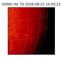 gong - 2026-08-22T10:00:22