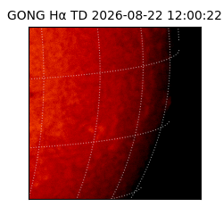 gong - 2026-08-22T12:00:22