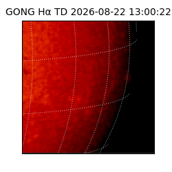 gong - 2026-08-22T13:00:22