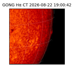 gong - 2026-08-22T19:00:42