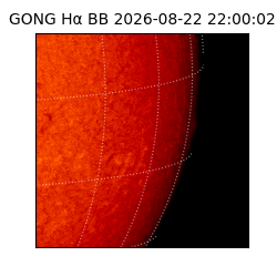 gong - 2026-08-22T22:00:02