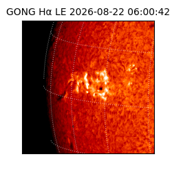 gong - 2026-08-22T06:00:42