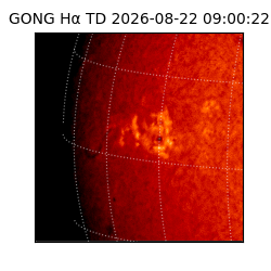 gong - 2026-08-22T09:00:22