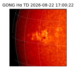 gong - 2026-08-22T17:00:22