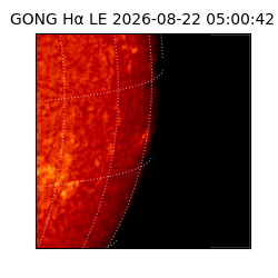 gong - 2026-08-22T05:00:42