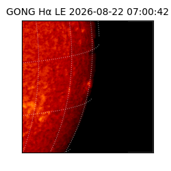 gong - 2026-08-22T07:00:42