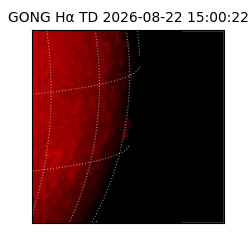 gong - 2026-08-22T15:00:22