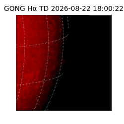 gong - 2026-08-22T18:00:22