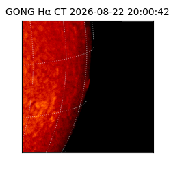 gong - 2026-08-22T20:00:42