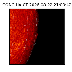 gong - 2026-08-22T21:00:42