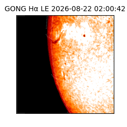 gong - 2026-08-22T02:00:42