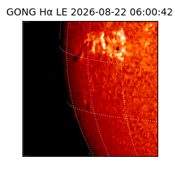 gong - 2026-08-22T06:00:42