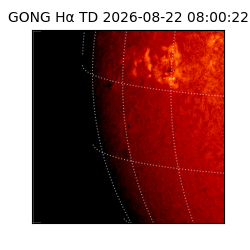 gong - 2026-08-22T08:00:22