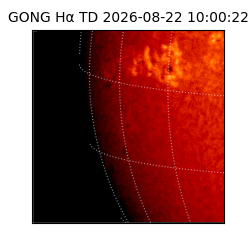 gong - 2026-08-22T10:00:22