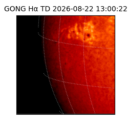 gong - 2026-08-22T13:00:22