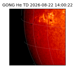gong - 2026-08-22T14:00:22