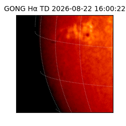 gong - 2026-08-22T16:00:22