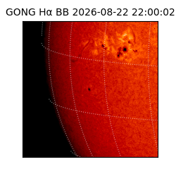 gong - 2026-08-22T22:00:02