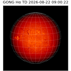gong - 2026-08-22T09:00:22