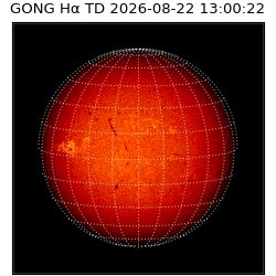 gong - 2026-08-22T13:00:22