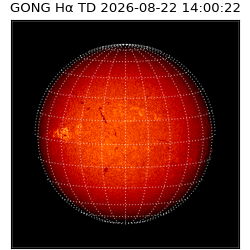 gong - 2026-08-22T14:00:22