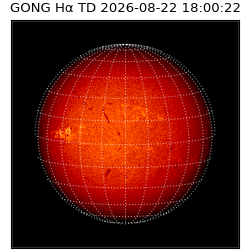 gong - 2026-08-22T18:00:22