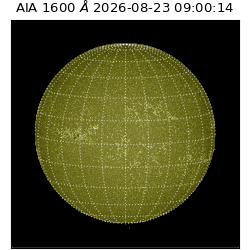 saia - 2026-08-23T09:00:14.123000