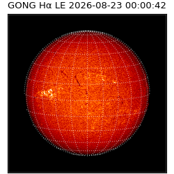 gong - 2026-08-23T00:00:42