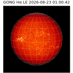 gong - 2026-08-23T01:00:42