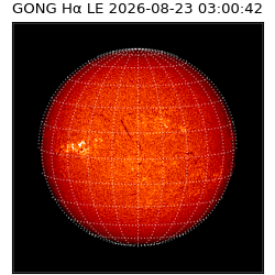 gong - 2026-08-23T03:00:42