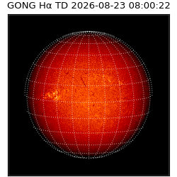 gong - 2026-08-23T08:00:22