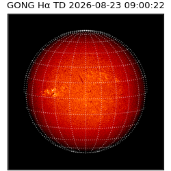 gong - 2026-08-23T09:00:22